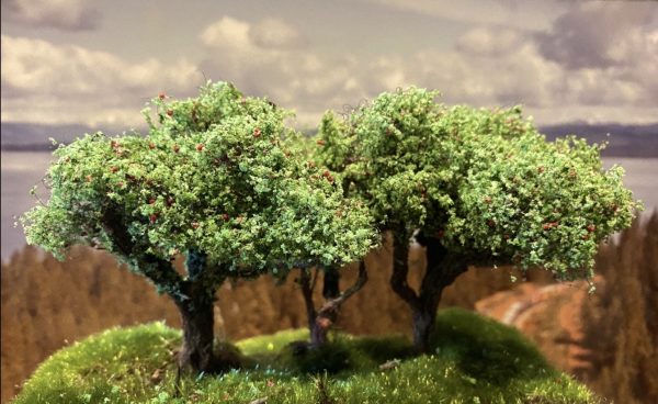 Fruit Trees