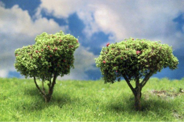 Fruit Trees - Image 4