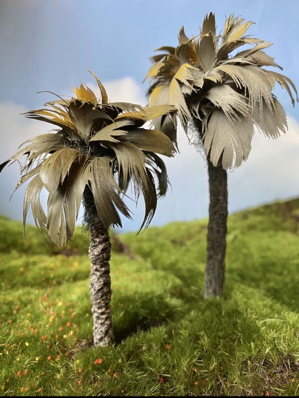 Palm Trees
