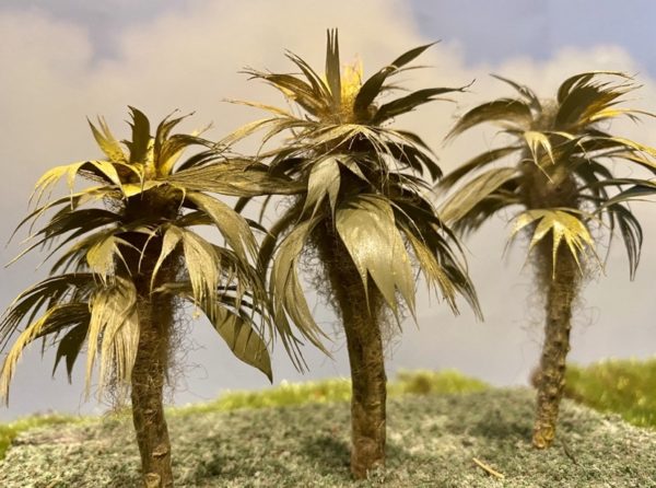 Palm Trees - Image 7